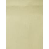 ハイウエストアソートナロースカートⅡ | dazzlin | 詳細画像43 