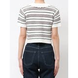 ボーダーポロニット | EMODA | 詳細画像19 