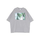 PARROTT CANVAS TRAVEL PH | Ungrid | 詳細画像14