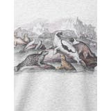 she saw seal sweat | merry jenny | 詳細画像28