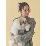 モコゾウ ドッグ＆パピーバンスクリップ | merry jenny | 詳細画像14 