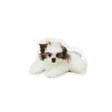 モコゾウ ドッグ＆パピーバンスクリップ | merry jenny | 詳細画像15 