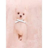 ribbon dog collage tee | merry jenny | 詳細画像43 