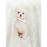 ribbon dog collage tee | merry jenny | 詳細画像44 
