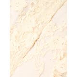 フロントリボンレースクロップドシャツ | EVRIS | 詳細画像26 