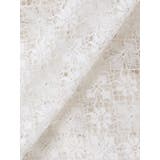 LACE LAYERED SKPT/レースレイヤードスカートパンツ | CALNAMUR | 詳細画像35 