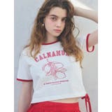 COLOR SCHEME LEMON | CALNAMUR | 詳細画像3 