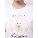 CAT Tシャツ | CALNAMUR | 詳細画像48