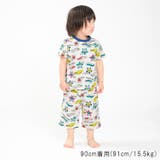 JR新幹線電車総柄半袖パジャマ 90cm~130cm B33799 | こどもの森e-shop | 詳細画像13