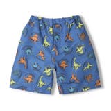 恐竜柄スイムパンツ・水着 90cm～130cm B33820 | こどもの森e-shop | 詳細画像2 