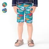 サメ柄スイムパンツ・水着 90cm～130cm B33821 | こどもの森e-shop | 詳細画像1 