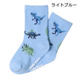恐竜・働く車総柄クルーソックス | こどもの森e-shop | 詳細画像5