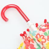 Kids Foret お花 | こどもの森e-shop | 詳細画像6