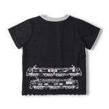 JR貨物電車ストライプ切替半袖Ｔシャツ | こどもの森e-shop | 詳細画像4 