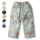 JollyJury 動物 恐竜 | こどもの森e-shop | 詳細画像1