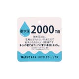JollyJury 動物 恐竜 | こどもの森e-shop | 詳細画像14