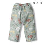 JollyJury 動物 恐竜 | こどもの森e-shop | 詳細画像2