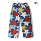 JollyJury 動物 恐竜 | こどもの森e-shop | 詳細画像7