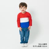 ３段切替長袖Tシャツ・ロンT | こどもの森e-shop | 詳細画像8 