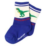 ブルー | 恐竜柄クルーソックス・靴下 | こどもの森e-shop