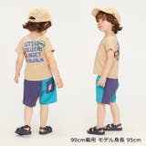 moujonjon 昆虫刺繍半袖Tシャツ 80cm | こどもの森e-shop | 詳細画像13