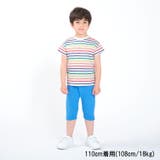 カラフルボーダー半袖Tシャツ 80cm～140cm M32807 | こどもの森e-shop | 詳細画像10 