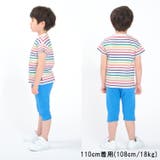 カラフルボーダー半袖Tシャツ 80cm～140cm M32807 | こどもの森e-shop | 詳細画像11 
