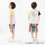 くま・ぞうプリント半袖Ｔシャツ | こどもの森e-shop | 詳細画像12 