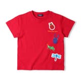 昆虫プリント半袖Ｔシャツ | こどもの森e-shop | 詳細画像2 
