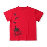 昆虫プリント半袖Ｔシャツ | こどもの森e-shop | 詳細画像3 