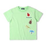 昆虫プリント半袖Ｔシャツ | こどもの森e-shop | 詳細画像4 