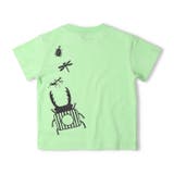 昆虫プリント半袖Ｔシャツ | こどもの森e-shop | 詳細画像5 
