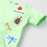 昆虫プリント半袖Ｔシャツ | こどもの森e-shop | 詳細画像6 