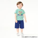 ストレッチダンプ無地6分丈ハーフパンツ | こどもの森e-shop | 詳細画像15