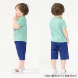 ストレッチダンプ無地6分丈ハーフパンツ | こどもの森e-shop | 詳細画像16