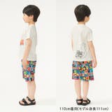 フルーツ&車柄5分丈ハーフパンツ | こどもの森e-shop | 詳細画像11