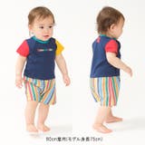 ストライプ切替ロンパース・Tオール | こどもの森e-shop | 詳細画像13 
