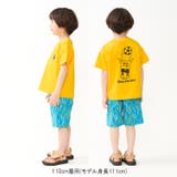 サッカーくま刺繍プリント入りTシャツ | こどもの森e-shop | 詳細画像13