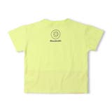 スイカ・キウイ切替半袖Ｔシャツ | こどもの森e-shop | 詳細画像3 