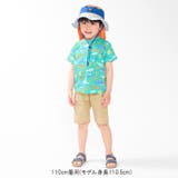 虹・海の生き物総柄半袖Tシャツ | こどもの森e-shop | 詳細画像8