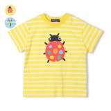 てんとう虫・クワガタボーダーTシャツ | こどもの森e-shop | 詳細画像1