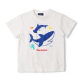 ホワイト | サメプリントＴシャツ | こどもの森e-shop