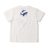 ネイビー | サメプリントＴシャツ | こどもの森e-shop
