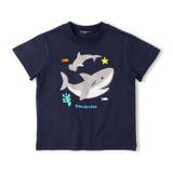 サメプリントＴシャツ | こどもの森e-shop | 詳細画像2 