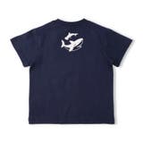 サメプリントＴシャツ | こどもの森e-shop | 詳細画像3 