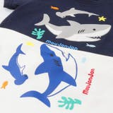 サメプリントＴシャツ | こどもの森e-shop | 詳細画像5 