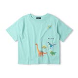 エメラルドグリーン | 【WEB限定】恐竜ワッペンTシャツ | こどもの森e-shop