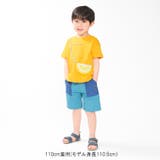 水陸両用ナイロン5分丈ハーフパンツ | こどもの森e-shop | 詳細画像12