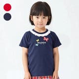 ちょうちょアップリケ衿レース半袖Ｔシャツ | こどもの森e-shop | 詳細画像1 
