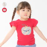 ねこ・りんごアップリケ半袖Ｔシャツ | こどもの森e-shop | 詳細画像1 